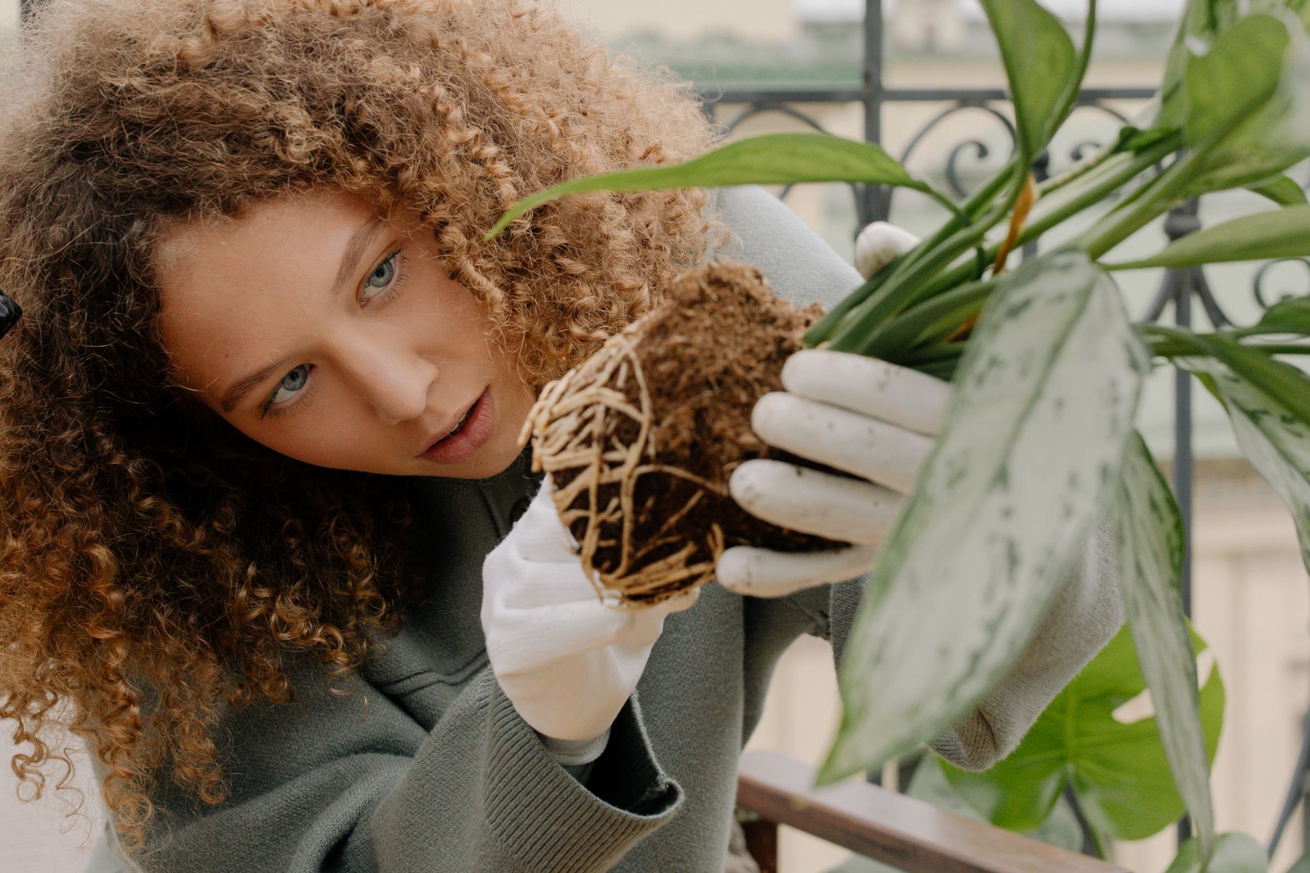 植物の手入れをする人