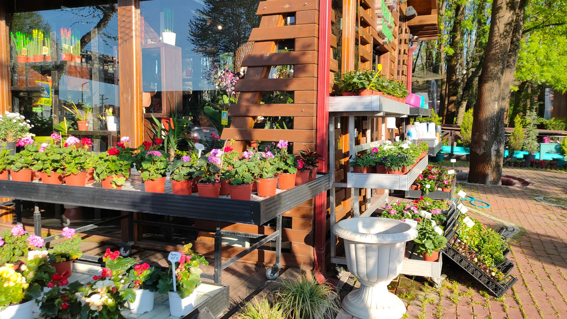 ホームセンターの園芸売場
